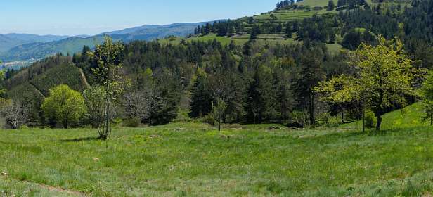 30: 170509135257Brion-Pano