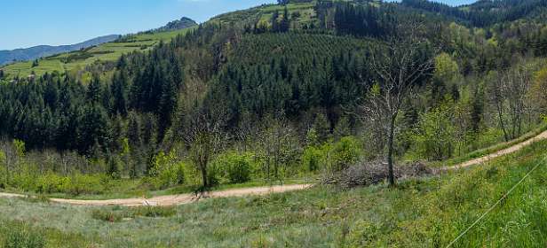 31: 170509140509Brion-Pano