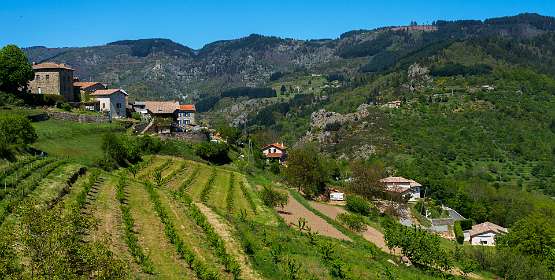 32: 170509145144Brion<br>Jaunac