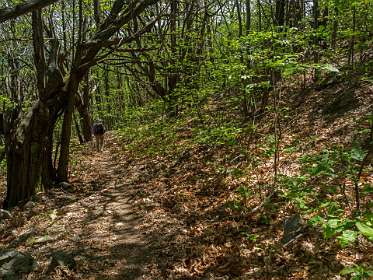 19: 170514134802La_Gravenne