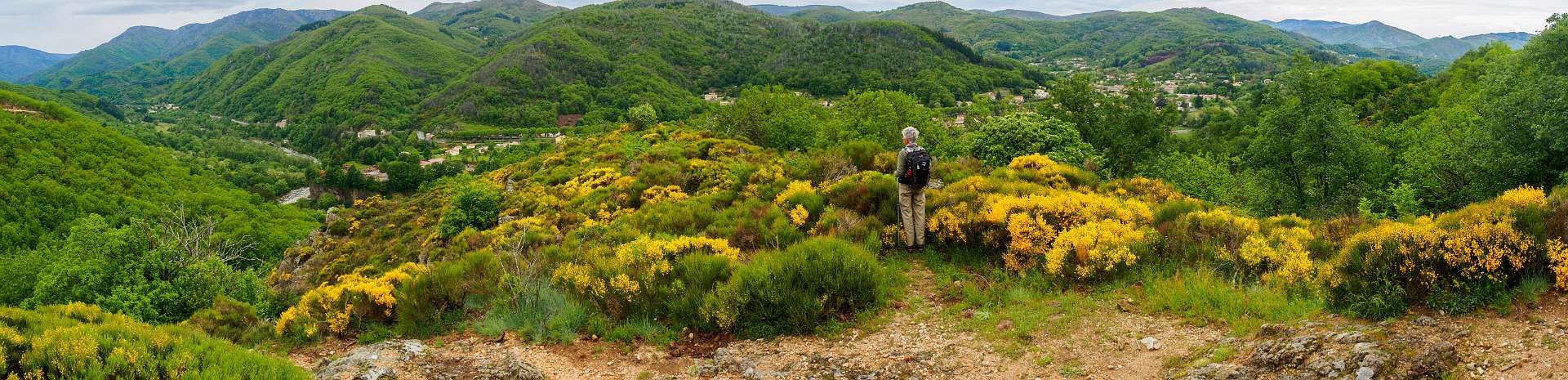 Klik om de knoppen te tonen of te verbergen