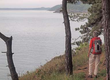 22: 2009 05 28_0791<br>GR34 langs de Baie de la Fresnaye