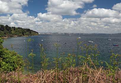 20: 2009 05 21_0480