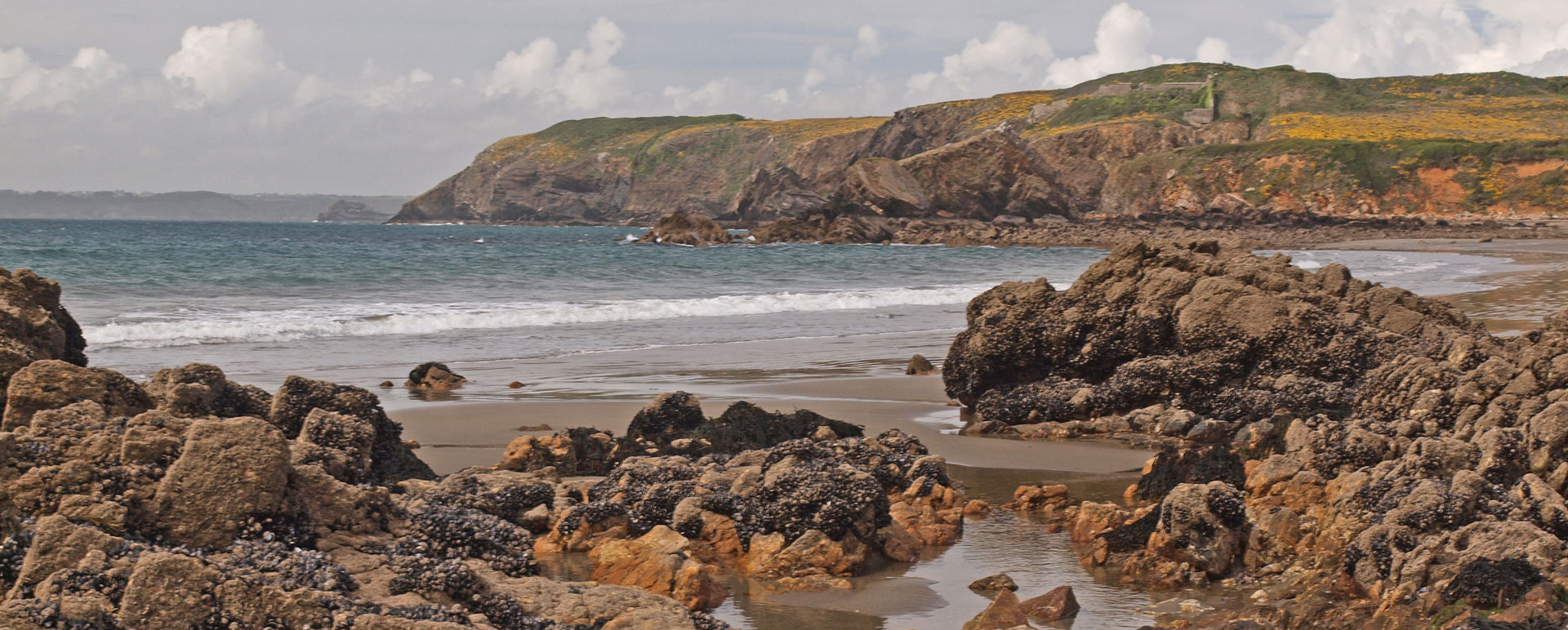 Klik om de knoppen te tonen of te verbergen