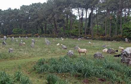 1: 2009 05 12_0033<br>Allignments de Kerlescan