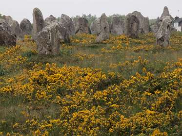 4: 2009 05 12_0039<br>Allignments de Kermario