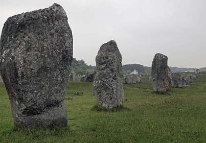 6: 2009 05 12_0041<br>Kermario