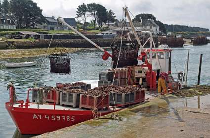 6: 2009 05 14_0122<br>Oesters worden van board gehaald
