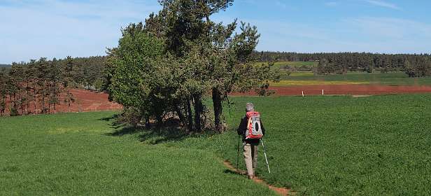 1: Les_Bondonst_120514_01