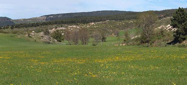 2: Les_Bondonst_120514_02