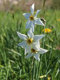 4: Les_Bondonst_120514_04