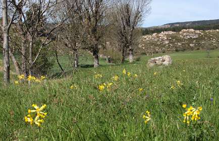 5: Les_Bondonst_120514_05