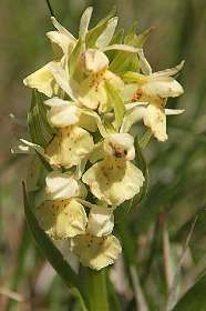 9: Les_Bondonst_120514_09