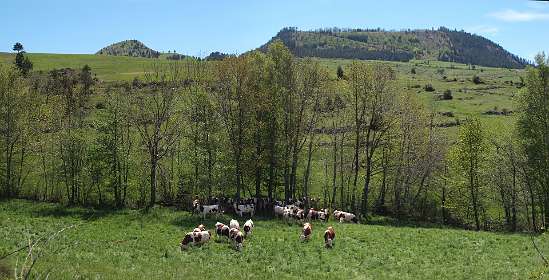 12: Les_Bondonst_120514_13