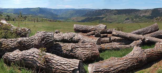 14: Les_Bondonst_120514_15