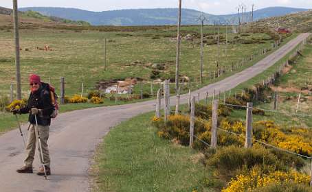 1: Mas_Camargues_120515_01