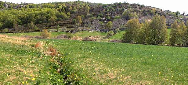 4: Mas_Camargues_120515_05