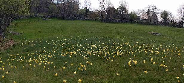 7: Mas_Camargues_120515_08<br>L'Hôpital