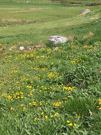 8: Mas_Camargues_120515_09