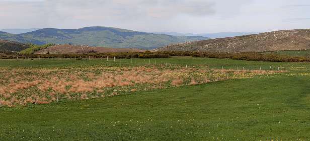 10: Mas_Camargues_120515_11