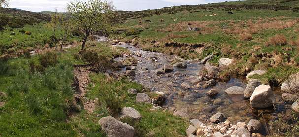 11: Mas_Camargues_120515_12