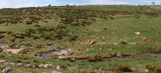 12: Mas_Camargues_120515_13