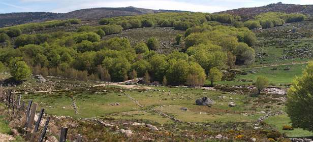 13: Mas_Camargues_120515_15