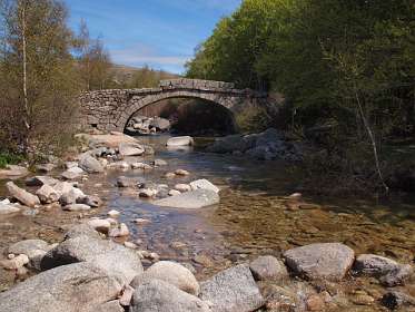 14: Mas_Camargues_120515_17