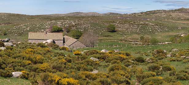 16: Mas_Camargues_120515_19