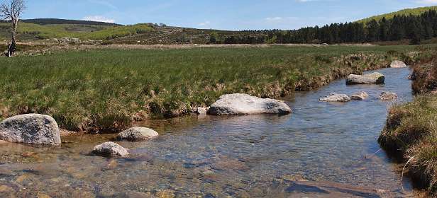 20: Mas_Camargues_120515_24<br>De Tarn