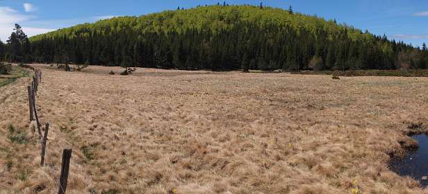 21: Mas_Camargues_120515_26