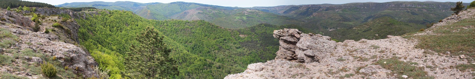 Klik om de knoppen te tonen of te verbergen