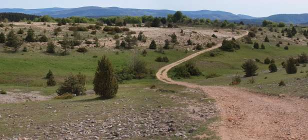 2: Hospitalet_120517_02