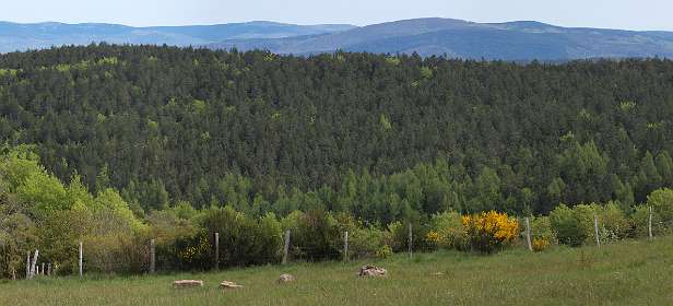 5: Hospitalet_120517_05