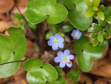 7: Hospitalet_120517_07