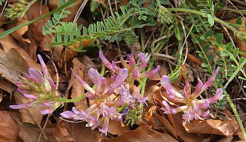 9: Hospitalet_120517_09