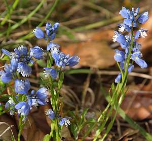 10: Hospitalet_120517_10