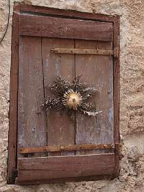 15: Navacelles_120519_14<br>De distel beschermt het huis