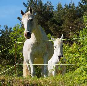 6: 170528101857CausseNoir