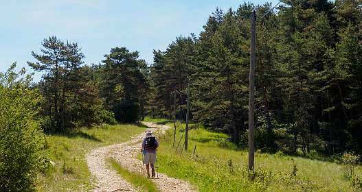 12: 170528114635CausseNoir