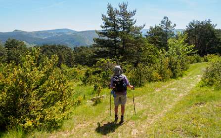 13: 170528115639CausseNoir