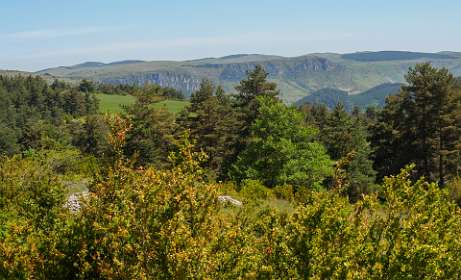 14: 170528120053CausseNoir