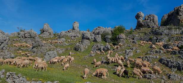 4: 170529101737Nimes-Le-Vieux-Pano