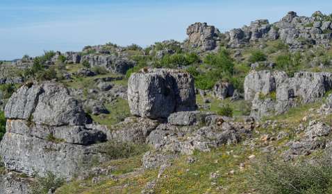 5: 170529102043Nimes-Le-Vieux