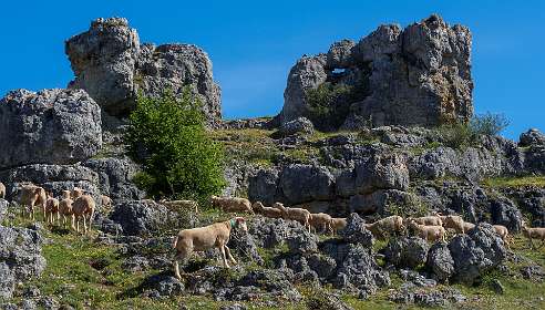 6: 170529102059Nimes-Le-Vieux