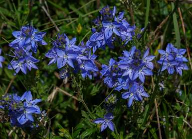 27: 170529113834Nimes-Le-Vieux