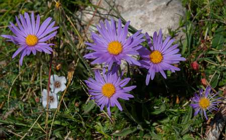 33: 170529115801Nimes-Le-Vieux