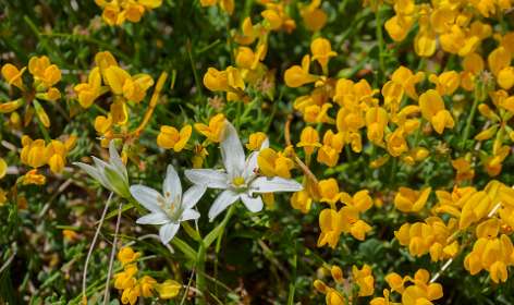 40: 170529120600Nimes-Le-Vieux