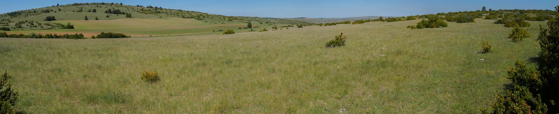 Klik om de knoppen te tonen of te verbergen