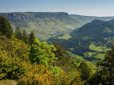 7: 170526103854naamloos<br>Door het bos rechts lopen we terug naar de camping